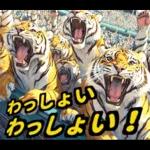 大阪神戸の野球好き虎ファン向け5とらほー