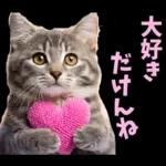 島根出雲弁☆にゃんこ