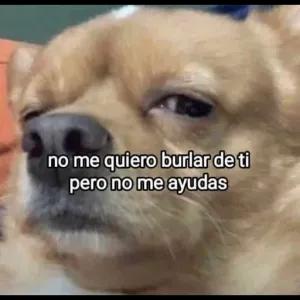 HCLq00