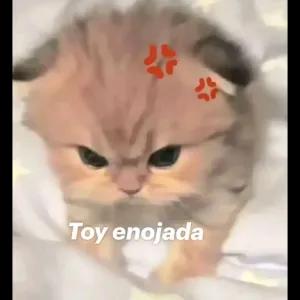 MnYY7Z