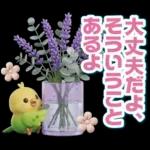 ふんわり3D女子の春・梅雨・初夏