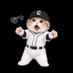 野球をする猫