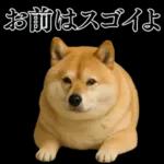 ガンギマリの柴犬＠エロ・日常会話