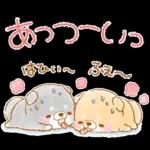初夏❤️いやしばいぬ❤️16/柴犬