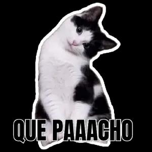 QUE PAAACHO - getsticker.com