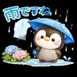 ぺんちゃんと梅雨じかん