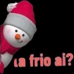 Meme Brasileiro 12093