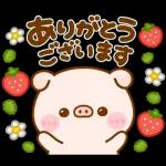 ポコちゃんピッグスプリングポップアップ