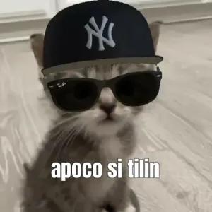 apoco si tilin - getsticker.com