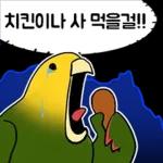 투자 전문가, 껄무새