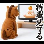 ウマの着ぐるみトイプードル【午年/2026】