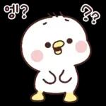 볼빨간 오리는 매일이 신나~11