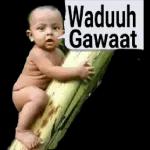 stiker