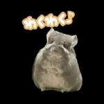 ふらんねるスタンプ【日常】