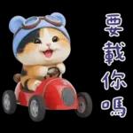 可愛小花貓超能幹的啦❤