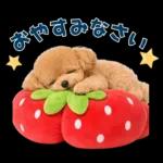 春♡とってもかわいいトイプードル