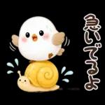 梅雨と夏のやさしい気遣い言葉♡シマエナガ