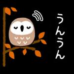 ボブGIRLと森のどうぶつ【秋と冬】
