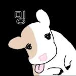 호기심 많은 소