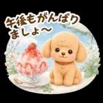 トイプードルの夏と梅雨のお天気カフェ