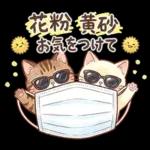 ずっと使える♪猫たちの日常