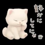 モフモフ白ネコ