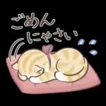 毎日使える♡大人可愛いガーリーキャット2