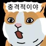 고양이 확대 2
