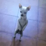 Tenha um bom dia no trabalho.