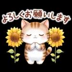 猫のつめあわせ【夏】