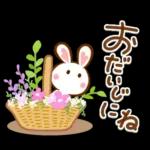 夏間近❣ハート耳のうさぎさん