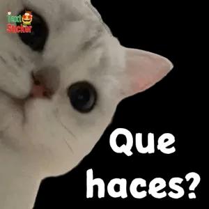 Que haces? - getsticker.com