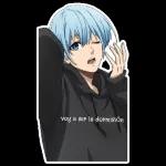 voy a ser la dormisión