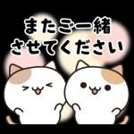 お酒好きなねこさん 7軒目！