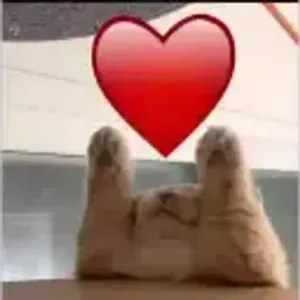m1c8n7c