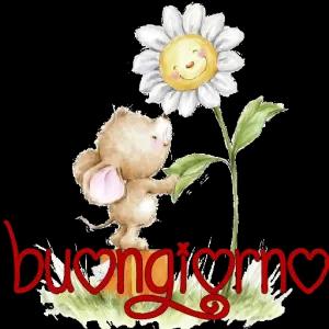 BUONGIORNO - getsticker.com