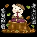 癒しを運ぶくまさん ♡ ほっこり秋
