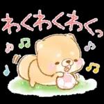 初夏❤️いやしばいぬ❤️16/柴犬