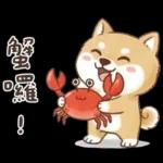 柴犬可愛諧音梗
