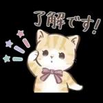 毎日使える♡大人可愛いガーリーキャット2