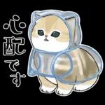 おめかしにゃん