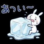 毎日使える夏☆ほぼ白うさぎ