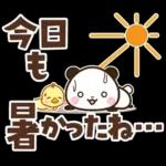 パンダ＆ひよこ 梅雨・夏