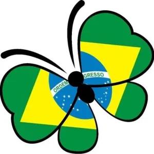 ORDEM E PROGRESSO - getsticker.com
