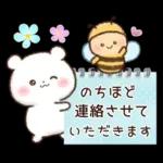 チロクマとアイビー　初夏