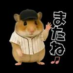 【新】リアル野球ハムスター