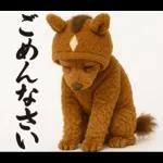 ウマの着ぐるみトイプードル【午年/2026】