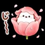 春のシマエナガ♪