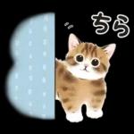 春の毎日☆猫たちのスタンプ（もふもふ）