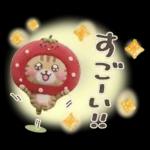 おひとよしネコチャン⭐️3Dフロッキー 1